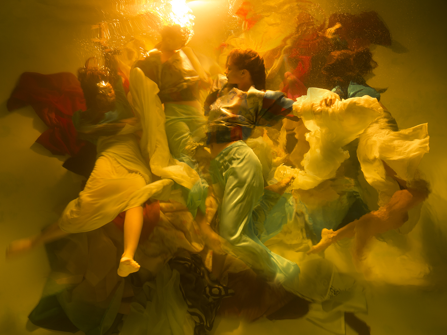 Sony World Photography Awards 2019: объявлены победители в Открытом конкурсе