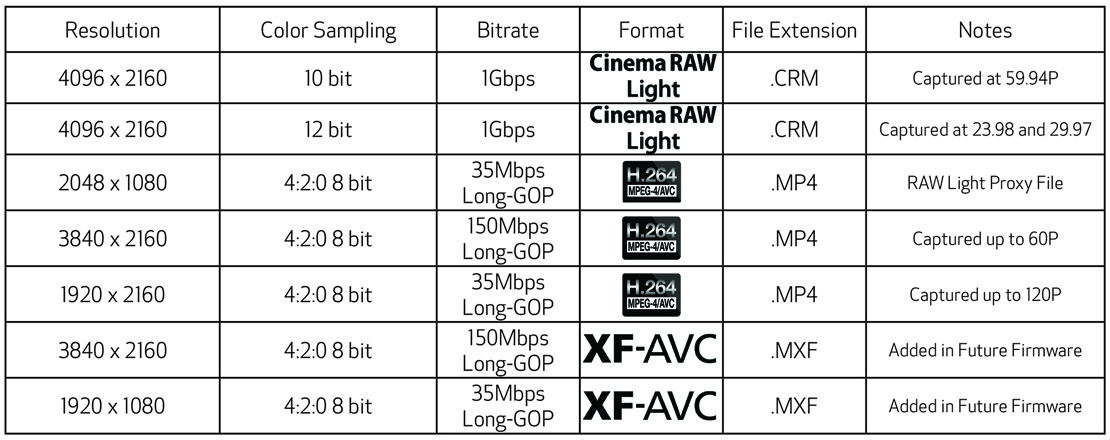 Canon C200 07
